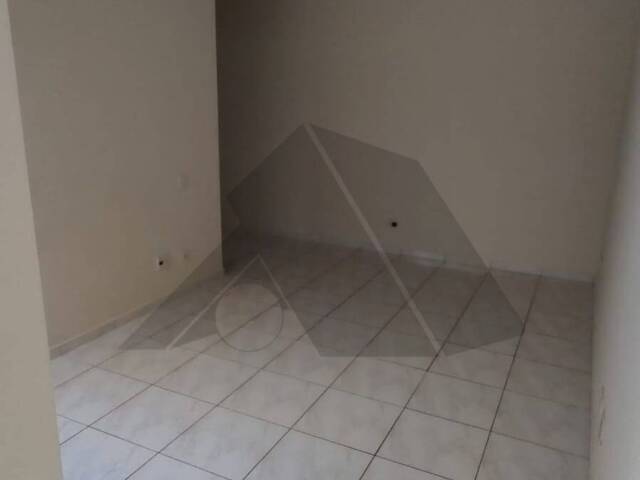 Apartamento para Locação em Arapongas - 5